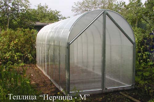 Теплица перчина-м: особенности конструкции и правила монтажа