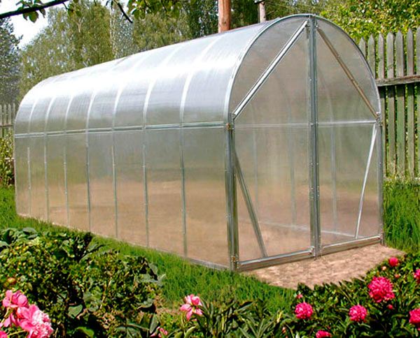 Теплица перчина-м: особенности конструкции и правила монтажа