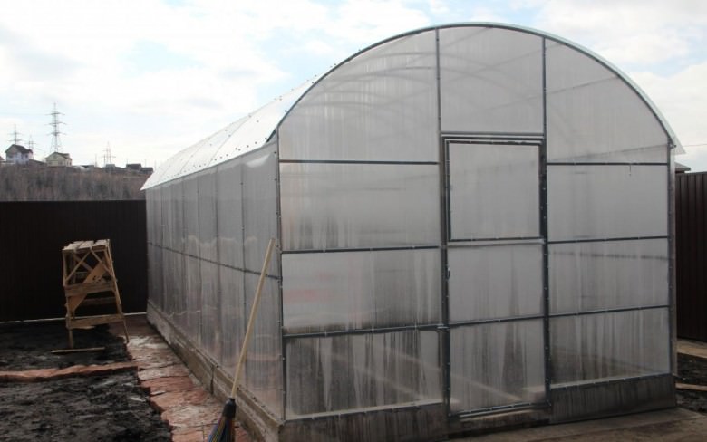 Теплица сибирская: характеристика и правила сборки