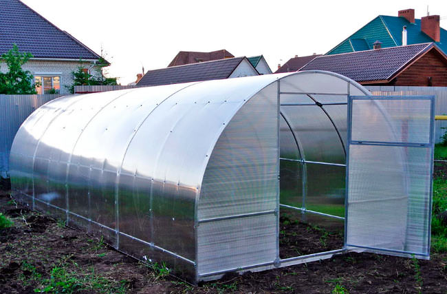 Теплица сибирская: характеристика и правила сборки