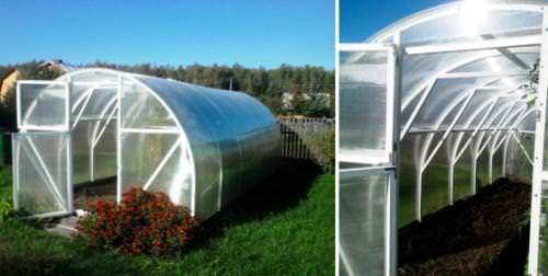 Теплица синьор помидор: техническая характеристика и преимущества