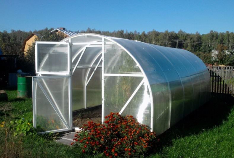 Теплица синьор помидор: техническая характеристика и преимущества
