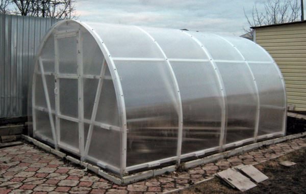 Теплица синьор помидор: техническая характеристика и преимущества