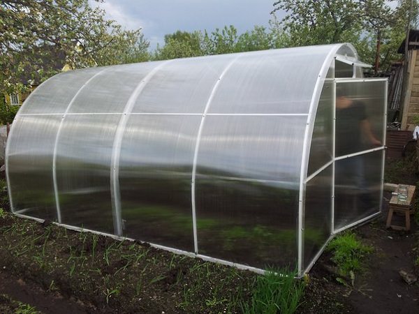 Теплица уралочка: характеристика конструкции и правила монтажа