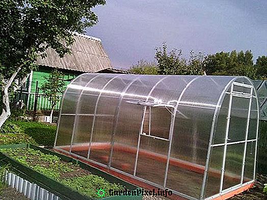 Теплица уралочка: характеристика конструкции и правила монтажа