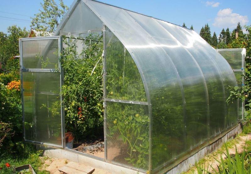 Теплицы апельсин из поликарбоната: достоинства и недостатки конструкции, правила монтажа