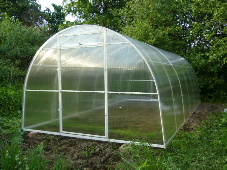 Теплицы апельсин из поликарбоната: достоинства и недостатки конструкции, правила монтажа