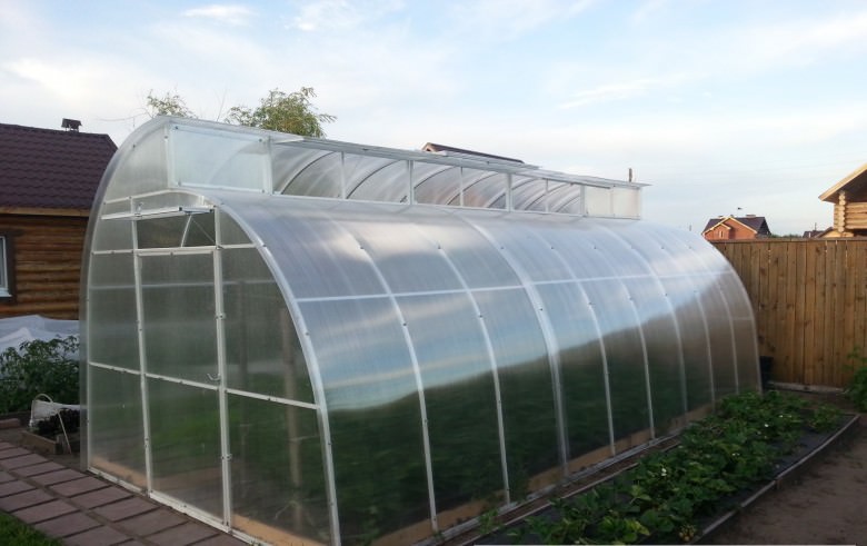 Теплицы апельсин из поликарбоната: достоинства и недостатки конструкции, правила монтажа