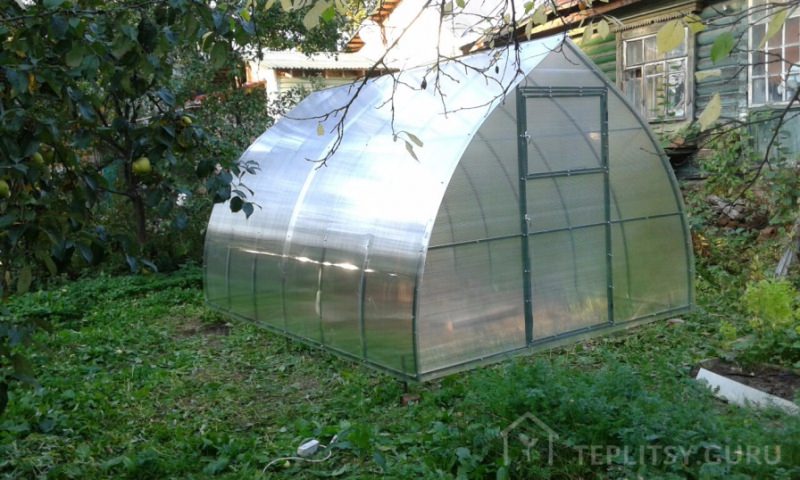 Теплицы апельсин из поликарбоната: достоинства и недостатки конструкции, правила монтажа