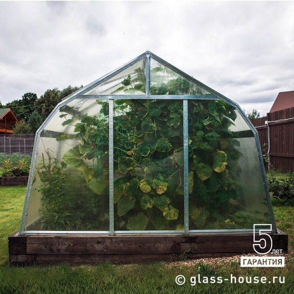 Теплицы гласс хаус: характеристика и достоинства конструкций