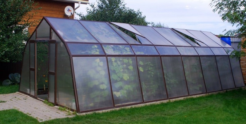 Теплицы гласс хаус: характеристика и достоинства конструкций