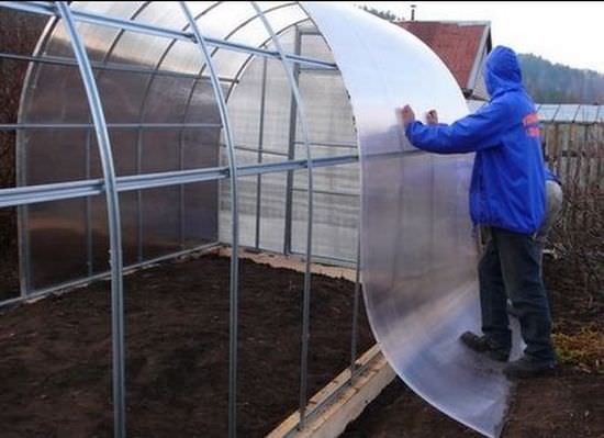 Теплицы из поликарбоната: характеристика, оптимальные размеры и правила сборки