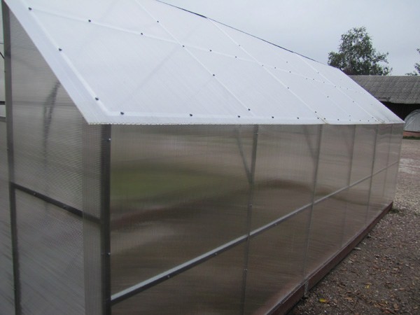 Теплицы из поликарбоната: как выбрать подходящую конструкцию