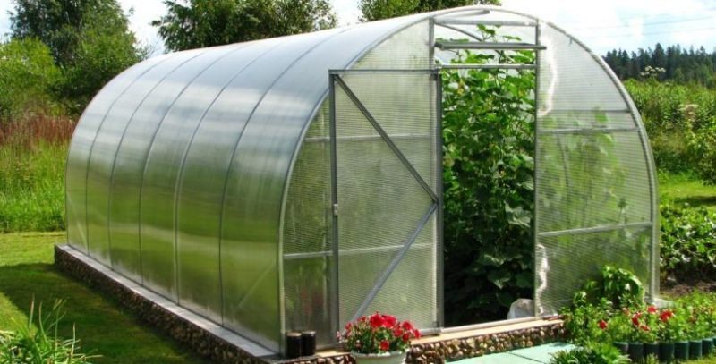 Теплицы из поликарбоната: как выбрать подходящую конструкцию