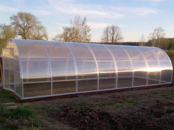 Теплицы из поликарбоната: как выбрать подходящую конструкцию