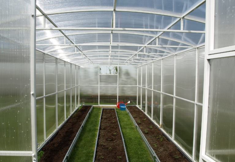 Теплицы из поликарбоната: как выбрать подходящую конструкцию