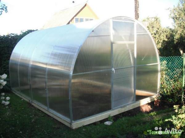 Теплицы из поликарбоната: как выбрать подходящую конструкцию