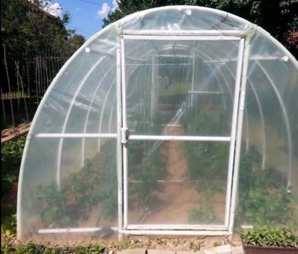 Теплицы из трубы пвх: характеристика и этапы самостоятельного изготовления
