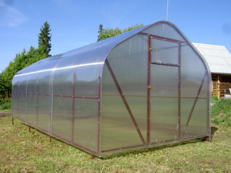 Теплицы от производителя: советы покупателю