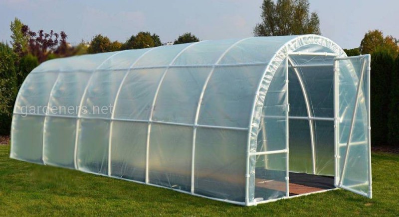 Теплицы от производителя: советы покупателю