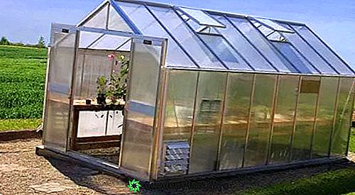 Теплицы своими руками: наиболее правильные и надежные варианты (фото и видео)