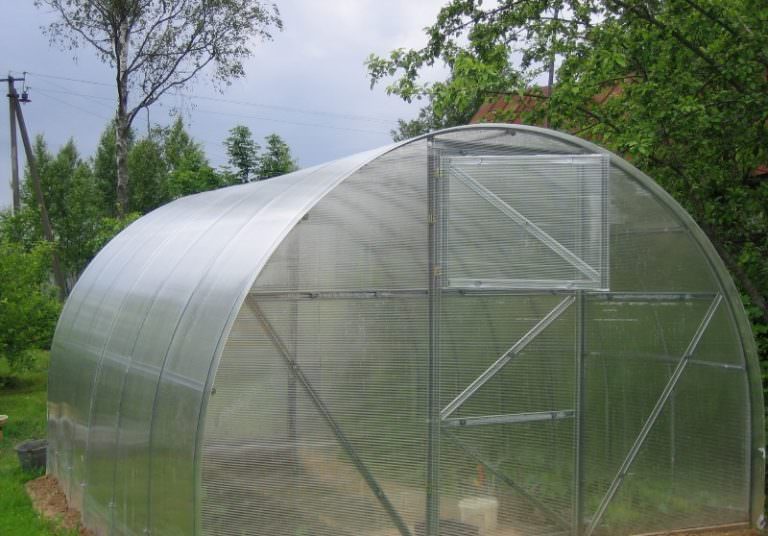 Теплицы урожай: характеристика видов и правила эксплуатации