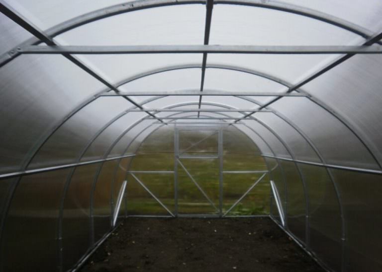 Теплицы урожай: характеристика видов и правила эксплуатации