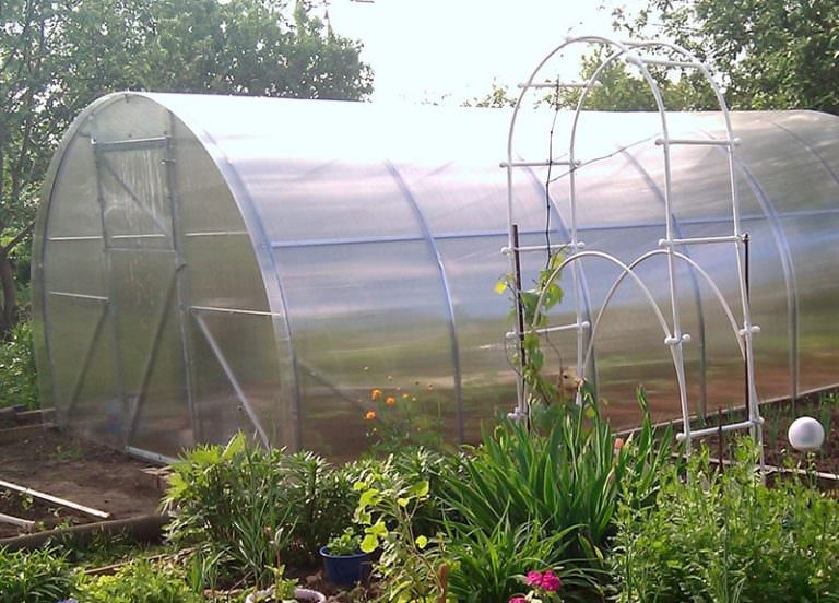 Теплицы урожай: характеристика видов и правила эксплуатации