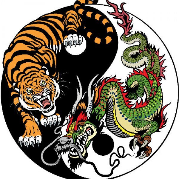 Тигр и дракон — совместимость мужчины и женщины в любви