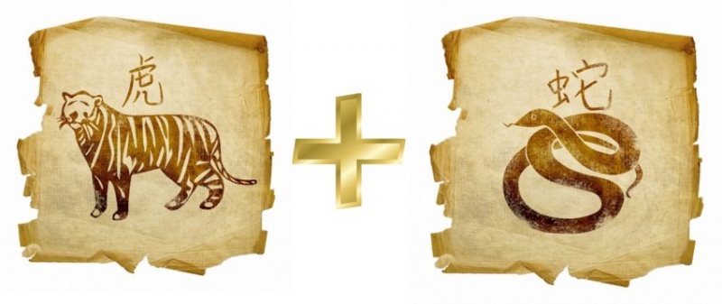 Тигр мужчина и Змея женщина — совместимость в любви и браке