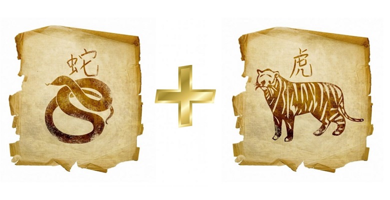 Тигр мужчина и Змея женщина — совместимость в любви и браке