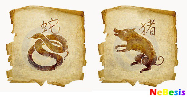 Тигр мужчина и Змея женщина — совместимость в любви и браке