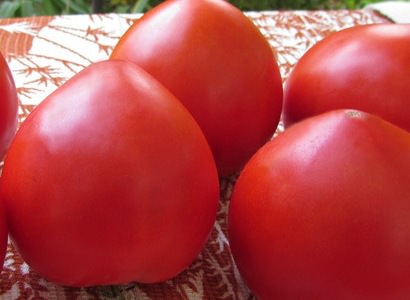 Томат «большая мамочка»: описание и отзывы с фото