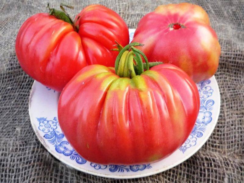 Томат японский краб: сортовая характеристика, правила выращивания и ухода