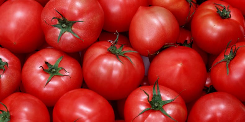 Томат мишка косолапый: характеристика сорта и отзывы огородников