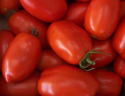 Томат ракета: характеристика сорта и правила ухода