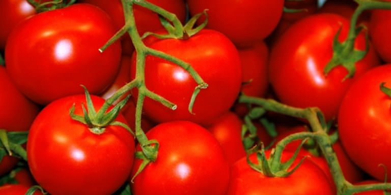 Томаты интуиция: сортовое описание и секреты выращивания