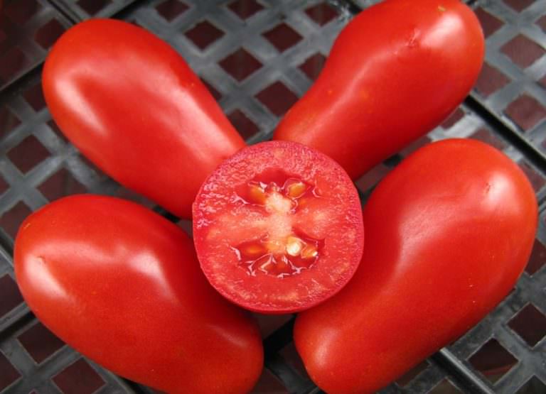 Томаты московские: описание сортовой группы