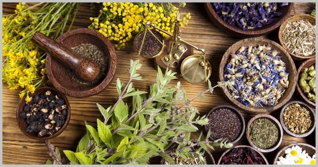 Травы при варикозе: каштан, доник, крапива, каланхоэ, софора японская, бессмертник, одуванчик, тысячелистник, ромашка