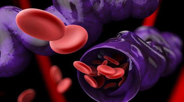 Троксерутин и конский каштан – можно ли принимать одновременно (совместимость)