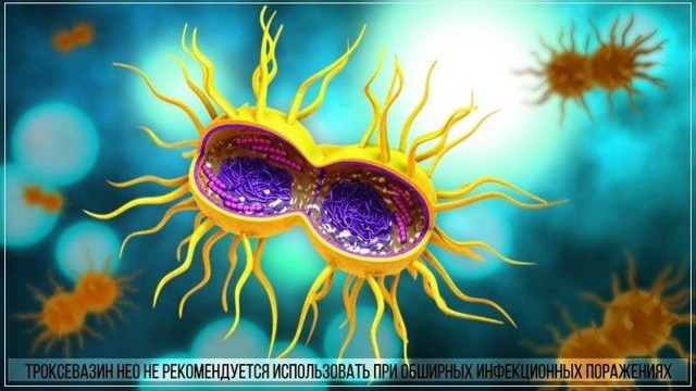 Троксевазин и венолайф: что лучше и в чем разница (отличие составов, отзывы врачей)