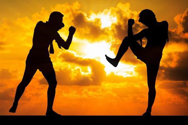 У кого самый сильный удар в мире: в боксе и в футболе, с руки и с ноги, рекорд Гиннеса в кг