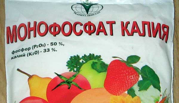 Удобрения для томатов: применение монофосфата калия и других подкормок