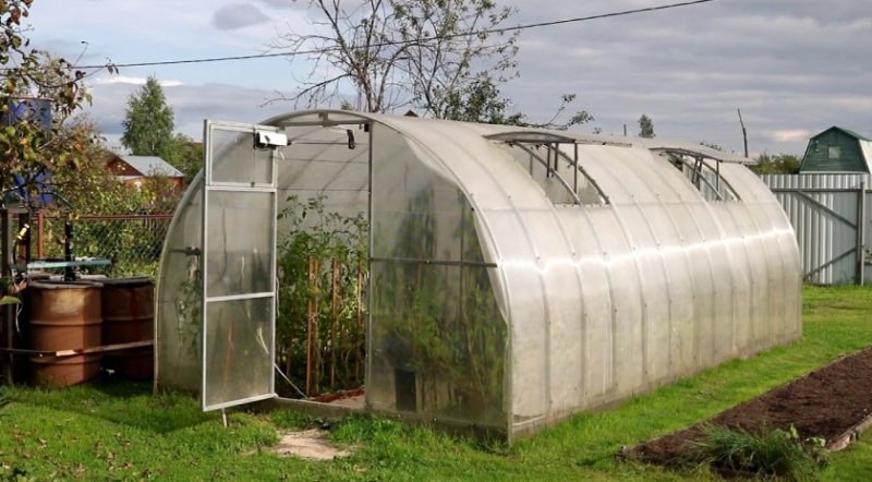 Умная теплица: особенности и преимущества конструкции
