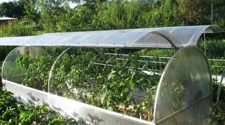 Умная теплица: особенности и преимущества конструкции
