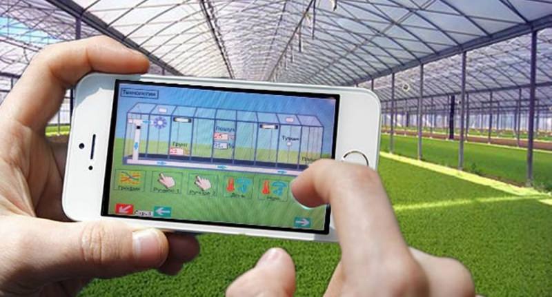 Умная теплица: особенности и преимущества конструкции