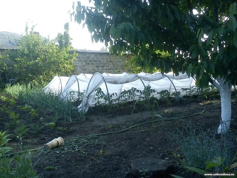 В чем преимущества парника гармошка?