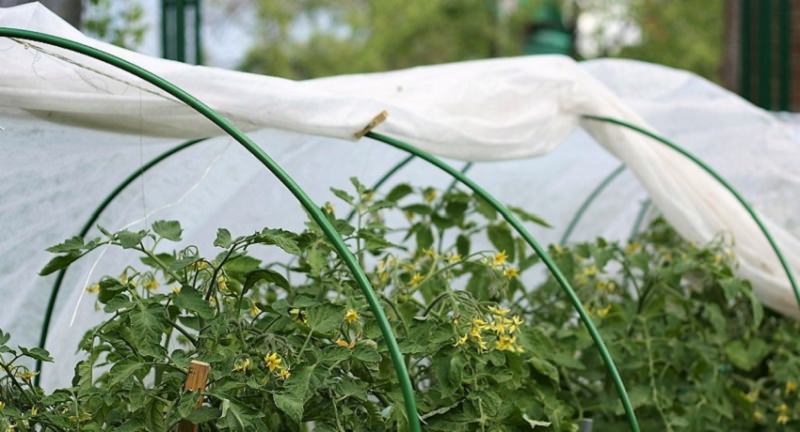 В чем преимущества парника гармошка?