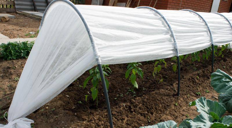 В чем преимущества парника гармошка?