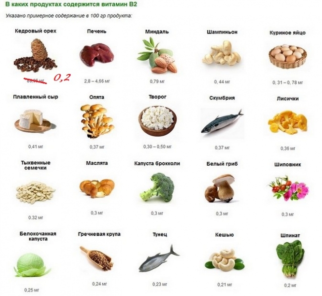 В чем содержится рибофлавин